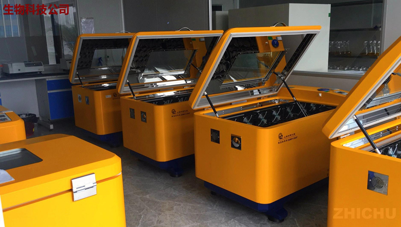 What Problems Should Be Paid Attention To When Using Double-Layer Shaking Incubator What Problems Should Be Paid Attention To When Using Double-Layer Shaking Incubator