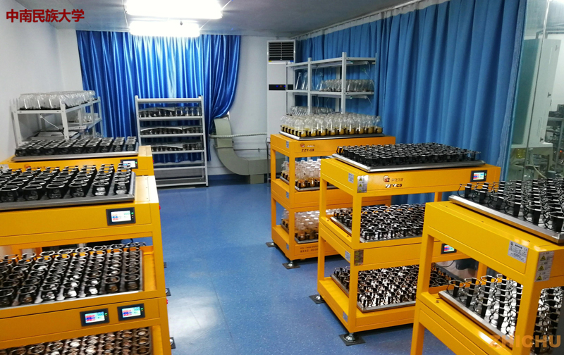 Constant Temperature Shaking Incubator For Microorganism Cultivation