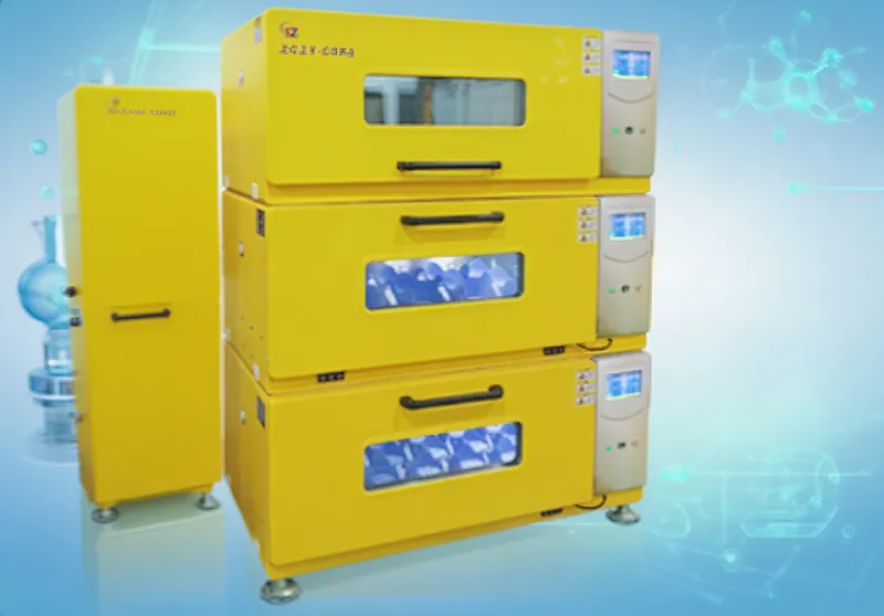 Nguyên Tắc và hướng dẫn sử dụng bể lên men sinh học